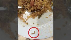 The decision was taken following an incident of a man complaining of finding a caterpillar in the vegetable biryani served to him at Ikea Hyderabad’s food outlet on August 31.(HT Photo) The decision was taken following an incident of a man complaining of finding a caterpillar in the vegetable biryani served to him at Ikea Hyderabad’s food outlet on August 31.(HT Photo)