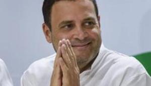 Congress President Rahul Gandhi(PTI) Congress President Rahul Gandhi(PTI)