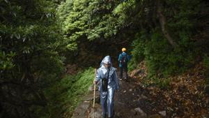 Trekkers walk through a forest, Triund, Himachal Pradesh, 2018(Burhaan Kinu/HT PHOTO) Trekkers walk through a forest, Triund, Himachal Pradesh, 2018(Burhaan Kinu/HT PHOTO)