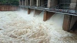 Water released from Panchna dam in Karauli on Thursday.(HT Photo) Water released from Panchna dam in Karauli on Thursday.(HT Photo)