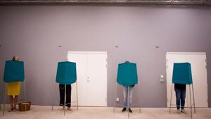 People vote in polling booths during election day in Stochholm, Sweden September 9, 2018.(REUTERS) People vote in polling booths during election day in Stochholm, Sweden September 9, 2018.(REUTERS)