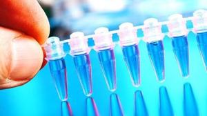 The award is part of a grant programme called R35 developed by the National Cancer Institute.(Shutterstock/Representative image) The award is part of a grant programme called R35 developed by the National Cancer Institute.(Shutterstock/Representative image)