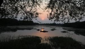 The Sultanpur National Park is a hot spot for birdwatchers in the National Capital Region, but in recent years it has come under pressure from urban expansion, causing degradation of the local ecology.(HT File Photo) The Sultanpur National Park is a hot spot for birdwatchers in the National Capital Region, but in recent years it has come under pressure from urban expansion, causing degradation of the local ecology.(HT File Photo)