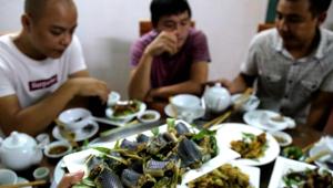 Diners consuming snake dishes at a specialty restaurant in Yen Bai province. With their meat served up in a wide array of dishes and blood imbibed in rice wine, snakes make a satisfying - and nourishing - meal in Vietnam.(AFP)