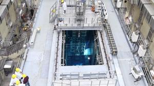 Apsara U is a swimming pool type research reactor that uses plate type dispersion fuel elements made of low enriched uranium. Apsara U is a swimming pool type research reactor that uses plate type dispersion fuel elements made of low enriched uranium.