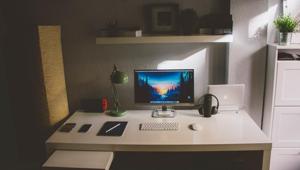 Adding plants in your working area increases productivity by 15%.(Unsplash) Adding plants in your working area increases productivity by 15%.(Unsplash)