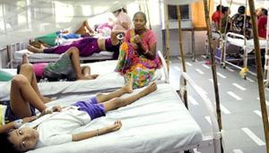 Diagnosis of scrub typhus is often missed as the infection mimics symptoms of common monsoon infections, such as dengue and chikungunya.(Picture for representation) Diagnosis of scrub typhus is often missed as the infection mimics symptoms of common monsoon infections, such as dengue and chikungunya.(Picture for representation)