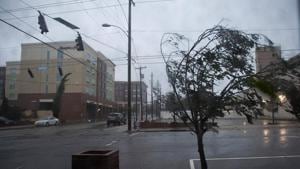 A tree bends from the heavy rain and wind from Hurricane Florence in Wilmington, North Carolina on September 14.(AFP Photo) A tree bends from the heavy rain and wind from Hurricane Florence in Wilmington, North Carolina on September 14.(AFP Photo)