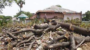Forest officials said the RWA committed a major offence, since it did not seek permission from the forest department before pruning.(Picture for representation) Forest officials said the RWA committed a major offence, since it did not seek permission from the forest department before pruning.(Picture for representation)