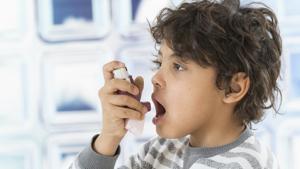 The period between the age of eight and puberty is particularly important for lung health and determining asthma risk later in life.(Shutterstock) The period between the age of eight and puberty is particularly important for lung health and determining asthma risk later in life.(Shutterstock)