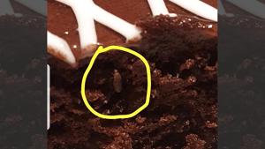 The customer tweeted that he had found an insect in the chocolate cake which he had bought for his daughter at the food counter in the IKEA outlet.(Photo: Twitter/@Kishore20181)