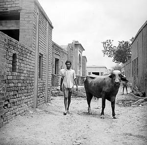The Dalit neighbourhood in a village near Chandigarh in 1969.(Roger Viollet/Getty Images)