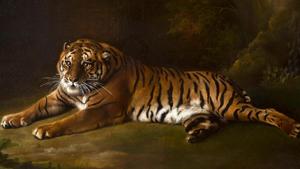 Photo of George Stubbs’ painting from life of the Bengal tiger in the late 18th century.(Blenheim Palace Photo) Photo of George Stubbs’ painting from life of the Bengal tiger in the late 18th century.(Blenheim Palace Photo)