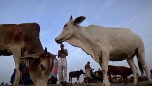 Deen Dayal Dham, a centre run by the RSS in Farah town of Mathura in Uttar Pradesh, will first put up a dozen products related to health, beauty and apparel on Amazon for sale.(AP File Photo) Deen Dayal Dham, a centre run by the RSS in Farah town of Mathura in Uttar Pradesh, will first put up a dozen products related to health, beauty and apparel on Amazon for sale.(AP File Photo)