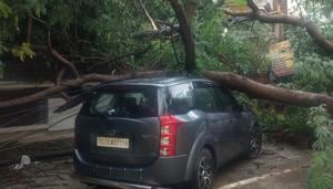 A large tree fell on a car at DLF phase1, E Block on Sunday night after heavy rain that damaged several electric poles and disrupted power supply, in Gurugram, India, on Monday, September 24, 2018.(Yogendra Kumar/HT PHOTO) A large tree fell on a car at DLF phase1, E Block on Sunday night after heavy rain that damaged several electric poles and disrupted power supply, in Gurugram, India, on Monday, September 24, 2018.(Yogendra Kumar/HT PHOTO)