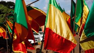 Malian flags seen in Bamako, Mali on July 24.(REUTERS/Representative image) Malian flags seen in Bamako, Mali on July 24.(REUTERS/Representative image)
