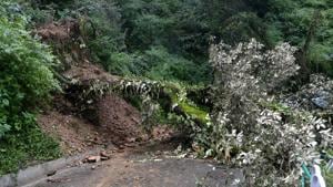An uprooted tree due to heavy rainfall blocked the road near Law College in Shimla.(Deepak Sansta/HT Photo) An uprooted tree due to heavy rainfall blocked the road near Law College in Shimla.(Deepak Sansta/HT Photo)