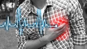 In 2016, 22% of healthy lives lost among those aged between 15 and 49 years can be traced to cardiovascular diseases (CVD).(Shutterstock) In 2016, 22% of healthy lives lost among those aged between 15 and 49 years can be traced to cardiovascular diseases (CVD).(Shutterstock)