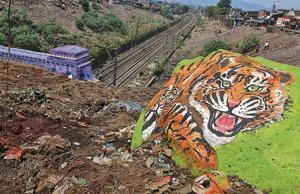 Heaps of garbage that once covered the area near Parsik tunnel have now been cleared and a tiger has been painted on a rock.(PRAFUL GANGURDE) Heaps of garbage that once covered the area near Parsik tunnel have now been cleared and a tiger has been painted on a rock.(PRAFUL GANGURDE)