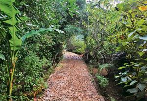 Around 30 species of butterflies can be spotted at Dattaji Salvi Garden at Kopri.(Praful Gangurde/HT) Around 30 species of butterflies can be spotted at Dattaji Salvi Garden at Kopri.(Praful Gangurde/HT)