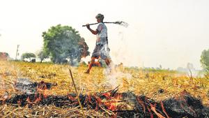 A farmer burning paddy stubble at Fatepur village in Patiala on Friday, October 5, 2018. Stubble burning by farmers in Punjab and Haryana is one of the reasons that pollution levels in Delhi shoot up during winter.(Bharat Bhushan / HT Photo) A farmer burning paddy stubble at Fatepur village in Patiala on Friday, October 5, 2018. Stubble burning by farmers in Punjab and Haryana is one of the reasons that pollution levels in Delhi shoot up during winter.(Bharat Bhushan / HT Photo)