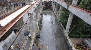 Untreated sewage released by rivers has disastrous consequences for marine life.(HT file photo) Untreated sewage released by rivers has disastrous consequences for marine life.(HT file photo)