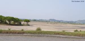 The destruction of Panje wetlands in Uran, Navi Mumbai, in less than six months.(Aishwarya Sridhar)