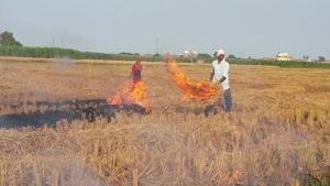 Farmers burn crop waste at a village in Karnal district on Thursday.(HT Photo) Farmers burn crop waste at a village in Karnal district on Thursday.(HT Photo)
