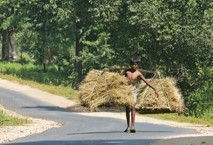 On the road in Chhattisgarh.(HT Photo) On the road in Chhattisgarh.(HT Photo)