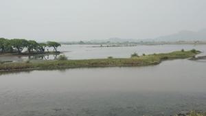 In 2014, the Bombay high court had banned reclamation and construction on wetlands after environment groups filed a petition to protect them.(Aishwarya Sridhar) In 2014, the Bombay high court had banned reclamation and construction on wetlands after environment groups filed a petition to protect them.(Aishwarya Sridhar)