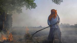 Amritsar: Smoke rises as a farmer burns paddy stubbles at a village on the outskirts of Amritsar, Friday, Oct 12, 2018. Farmers are burning paddy stubble despite a ban, before growing the next crop. (PTI Photo) (PTI10_12_2018_1000108B)(PTI) Amritsar: Smoke rises as a farmer burns paddy stubbles at a village on the outskirts of Amritsar, Friday, Oct 12, 2018. Farmers are burning paddy stubble despite a ban, before growing the next crop. (PTI Photo) (PTI10_12_2018_1000108B)(PTI)