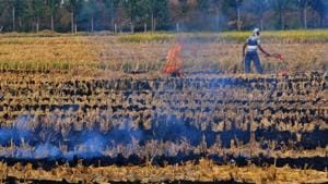 Farmer burning the stubble at a village in Ludhiana.(HT File photo) Farmer burning the stubble at a village in Ludhiana.(HT File photo)