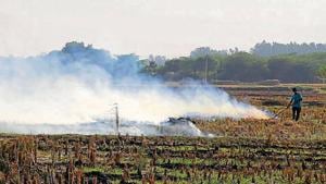 A farmer burning stubble in a field at Baroli village in Dera Bassi on Tuesday. Farmers have been fined <span class='webrupee'>₹</span>42,500 for flouting the ban in the past fortnight.(HT Photo) A farmer burning stubble in a field at Baroli village in Dera Bassi on Tuesday. Farmers have been fined <span class='webrupee'>₹</span>42,500 for flouting the ban in the past fortnight.(HT Photo)