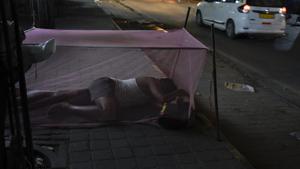 A man sleeps under the cover of a mosquito net in the evening. Zika virus is transmitted through the aedes aegypti mosquito, and causes fever, skin rashes, conjunctivitis, muscle and joint pain.(AP File Photo) A man sleeps under the cover of a mosquito net in the evening. Zika virus is transmitted through the aedes aegypti mosquito, and causes fever, skin rashes, conjunctivitis, muscle and joint pain.(AP File Photo)