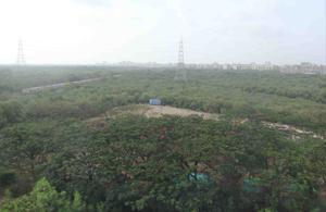 As per state mangrove cell, around 2,000 hectares is likely to be added to the existing 15,088 hectares of notified mangrove forests across Maharashtra.(HT FILE) As per state mangrove cell, around 2,000 hectares is likely to be added to the existing 15,088 hectares of notified mangrove forests across Maharashtra.(HT FILE)