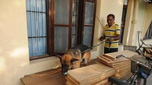 Police sniffer dog tracking outside the residence of father Kuriakose Kattuthara, who was found dead in mysterious circumstances in Dasuya, Punjab, India on Monday, October 22, 2018.(HT Photo) Police sniffer dog tracking outside the residence of father Kuriakose Kattuthara, who was found dead in mysterious circumstances in Dasuya, Punjab, India on Monday, October 22, 2018.(HT Photo)