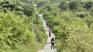 A Delhi-based NGO has recently written to NHAI and to Haryana chief minister Manohar Lal Khattar demanding an explanation for the proposal of two link roads that will cut across Aravali Biodiversity Park in Gurugram.(HT File PHOTO) A Delhi-based NGO has recently written to NHAI and to Haryana chief minister Manohar Lal Khattar demanding an explanation for the proposal of two link roads that will cut across Aravali Biodiversity Park in Gurugram.(HT File PHOTO)