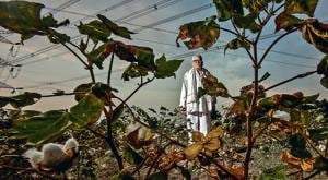 Ganesh Nevde, a former sarpanch of Kamkheda village in Beed district, says he has suffered losses of Rs6,000 for every acre of his 12-acre cotton fields as rains failed this year. He has no money to sow the crop next monsoon.(Kunal Patil/HT Photo) Ganesh Nevde, a former sarpanch of Kamkheda village in Beed district, says he has suffered losses of Rs6,000 for every acre of his 12-acre cotton fields as rains failed this year. He has no money to sow the crop next monsoon.(Kunal Patil/HT Photo)