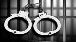 The leopard skin and their vehicle were seized, police said adding that the duo, identified as Gajanan Desai (45) and Arjun Tayade (47), were arrested.(PTI/ Representative Image) The leopard skin and their vehicle were seized, police said adding that the duo, identified as Gajanan Desai (45) and Arjun Tayade (47), were arrested.(PTI/ Representative Image)