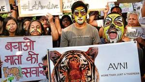A protest to save tigress Avni in Delhi last month.(HT File Photo) A protest to save tigress Avni in Delhi last month.(HT File Photo)
