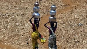 While the chief minister had unveiled Jalyukt Shivar, an ambitious water shed development scheme in a bid to make the state’s villages drought-free, it is clear now that the plan does not guarantee success(AP) While the chief minister had unveiled Jalyukt Shivar, an ambitious water shed development scheme in a bid to make the state’s villages drought-free, it is clear now that the plan does not guarantee success(AP)