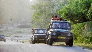 Tourists in Corbett Tiger Reserve in Rampur.(HT File) Tourists in Corbett Tiger Reserve in Rampur.(HT File)