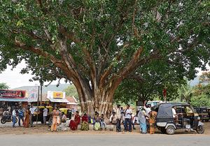Scene in a Kerala village.(Corbis via Getty Images) Scene in a Kerala village.(Corbis via Getty Images)