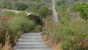 Aravalli Biodiversity Park at MG road. The amphitheatre inside the park occasionally hosts musical or cultural events, such as the annual Gurgaon Utsav.(HT File) Aravalli Biodiversity Park at MG road. The amphitheatre inside the park occasionally hosts musical or cultural events, such as the annual Gurgaon Utsav.(HT File)