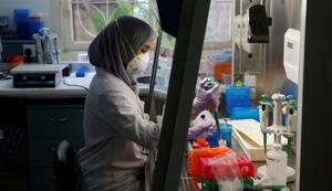 The lab is the only centre equipped to test zika samples.(Reuters file photo for representation) The lab is the only centre equipped to test zika samples.(Reuters file photo for representation)