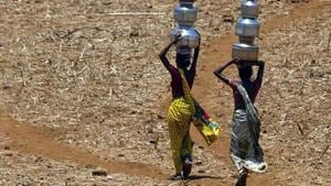 Increasing heat and changing weather patterns are affecting production and food security in weather-dependent agricultural economies such as India(AP) Increasing heat and changing weather patterns are affecting production and food security in weather-dependent agricultural economies such as India(AP)