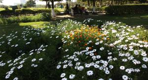 According to the proposal by SDMC, the grant given to RWAs for the development of parks, especially engagement of gardeners, will be increased to Rs 13,500 per month per acre from existing Rs 8,000.(HT File) According to the proposal by SDMC, the grant given to RWAs for the development of parks, especially engagement of gardeners, will be increased to Rs 13,500 per month per acre from existing Rs 8,000.(HT File)