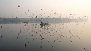 It was a misty morning in the national capital on Wednesday with ‘very poor’ air quality, the Met said, cautioning against morning walks.(AFP) It was a misty morning in the national capital on Wednesday with ‘very poor’ air quality, the Met said, cautioning against morning walks.(AFP)