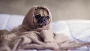 Losing even a couple hours of sleep at night makes you angrier(Photo by Matthew Henry on Unsplash) Losing even a couple hours of sleep at night makes you angrier(Photo by Matthew Henry on Unsplash)