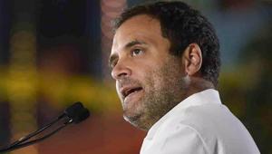 Congress President Rahul Gandhi(PTI) Congress President Rahul Gandhi(PTI)